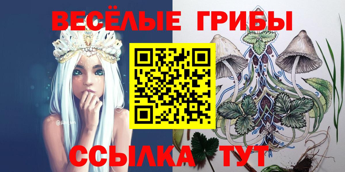 Псилоцибиновые грибы Magic Shrooms  Вход с VPN  где можно купить наркотик  Галлюциногенные грибы ЛСД  Тихорецк 