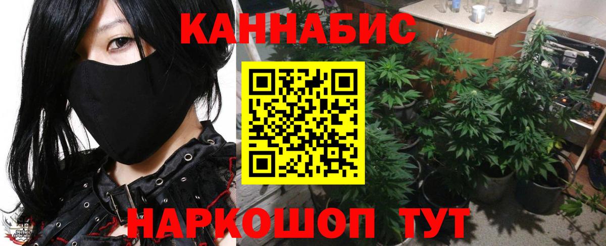 Марихуана OG Kush Тихорецк